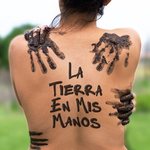 Manifiesto (Canto Soy)