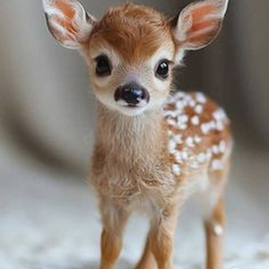 Big Boy Diamonds (slowed)