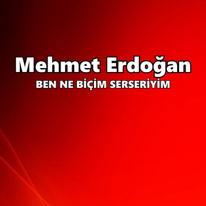 BEN NE BİÇİM SERSERİYİM
