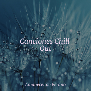 Claridad Encantada Revelada