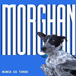 Liviano de equipaje