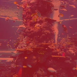 一尘不染工作印象数