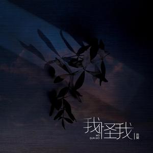 我怪我
