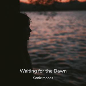 Waiting for the Dawn