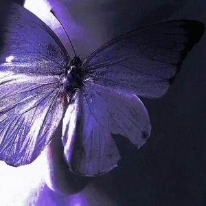 得饶人处且饶人