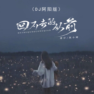 回不去的从前 (DJ阿阳版)