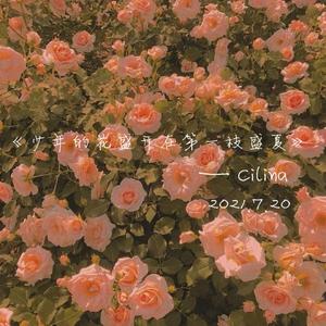 少年的花盛开在第一枝盛夏