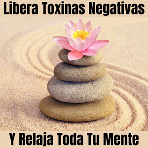 Agua - Bosque - Naturaleza