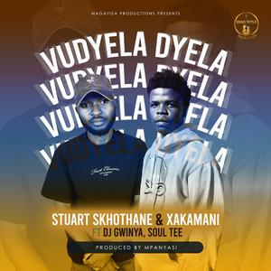 Vudyela dyela (feat. Dj Gwinya, Soultee & Mpanyas the Producer) (Radio Edit)