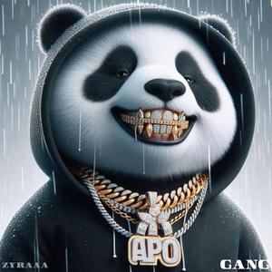 GANGG