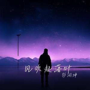 风吹起落叶