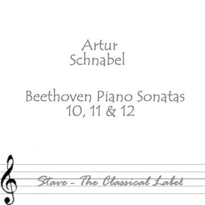 Beethoven Piano Sonata No 10 In G Major Op 14/2: Andante