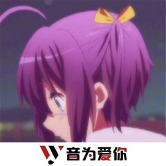 硬曲旋律 (DJ版)