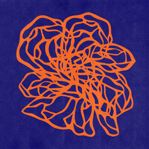 wishful thinking (Live at The Nordic Arts Festival)