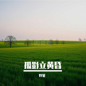 星芒渡长夜