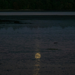 荒城の月 - 高音質ハーモニカ＆ピアノ