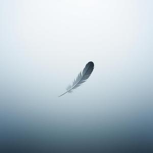 A Feather on the Breeze