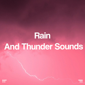 호우 잠