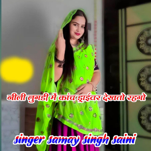 Nili Lugadi M Kanch Driver Dekhto Rahgo