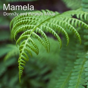 Mamela