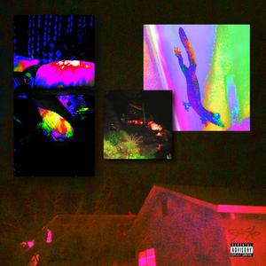 Gecko (feat. Houdinne)