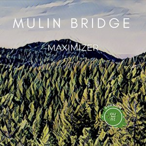 Maximizer (Original mix)