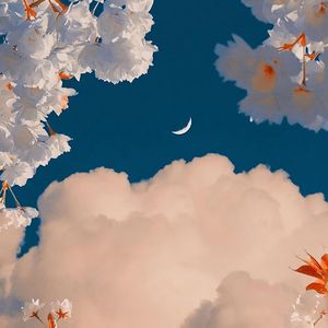 花里藏月