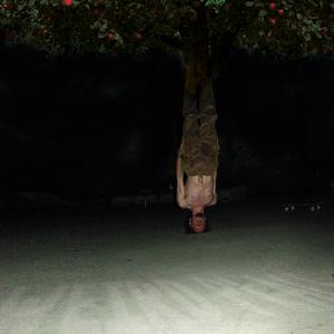 Apple Tree (in a very weird place)