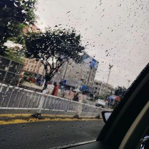 阿拉斯加海湾_给陌生的你听