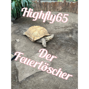 Der Feuerlöscher