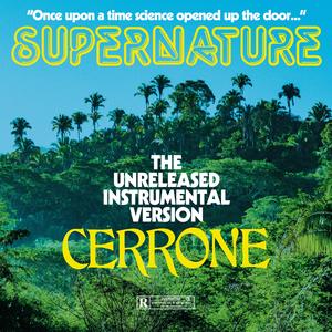 Supernature (Instrumental CLIMAX edit)