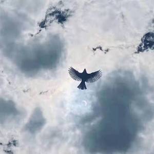 风情
