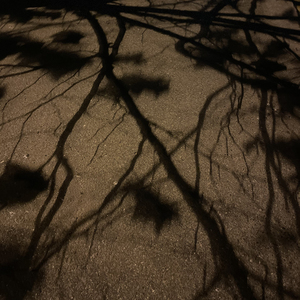 散步晚上九点半