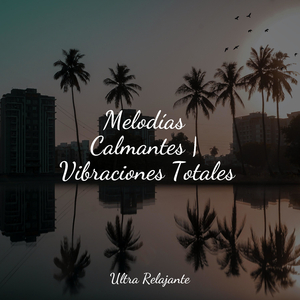 Hermoso Descanso Nocturno