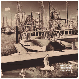 The Birds (Feat A.M.S)