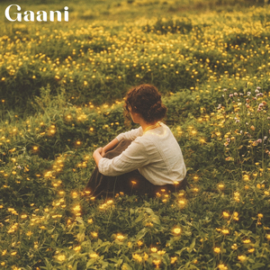 Gaani