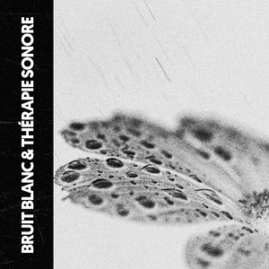 Symphonie de douche enchanteresse