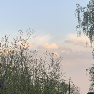 风（prod by 大力出奇迹）