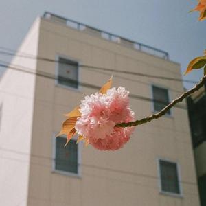 [Free] Pink Sweat$ Type beat"Stay with me"