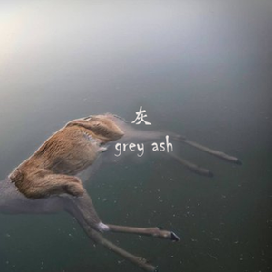灰