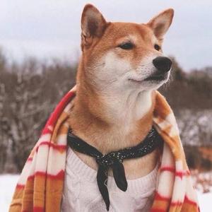 爱上一个回家不睡的人