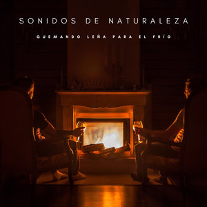 Fuego De Chimenea En La Playa