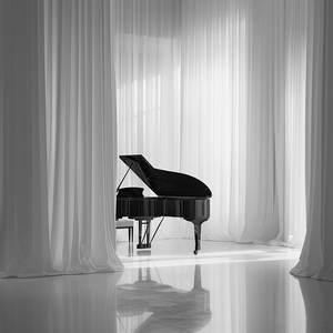 Sesión De Piano En Calma