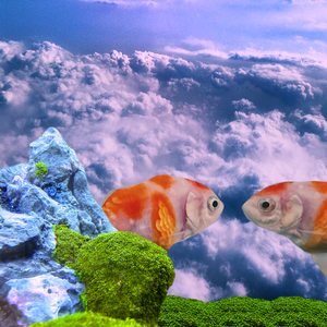 夢だとおもうの？