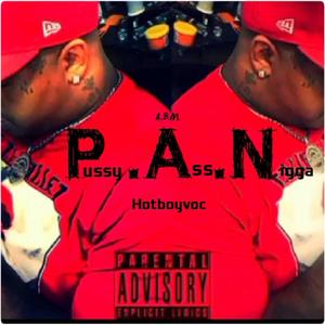 P.A.N (Pussy Ass Nigga)