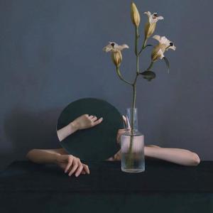 奇妙能力歌_Denoise