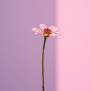 ラストチャンス