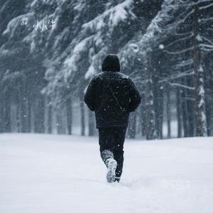 雪落回声