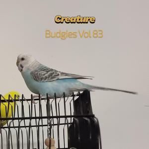 Budgies IV (Vol LXXXIII)