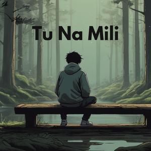 Tu Na Mili